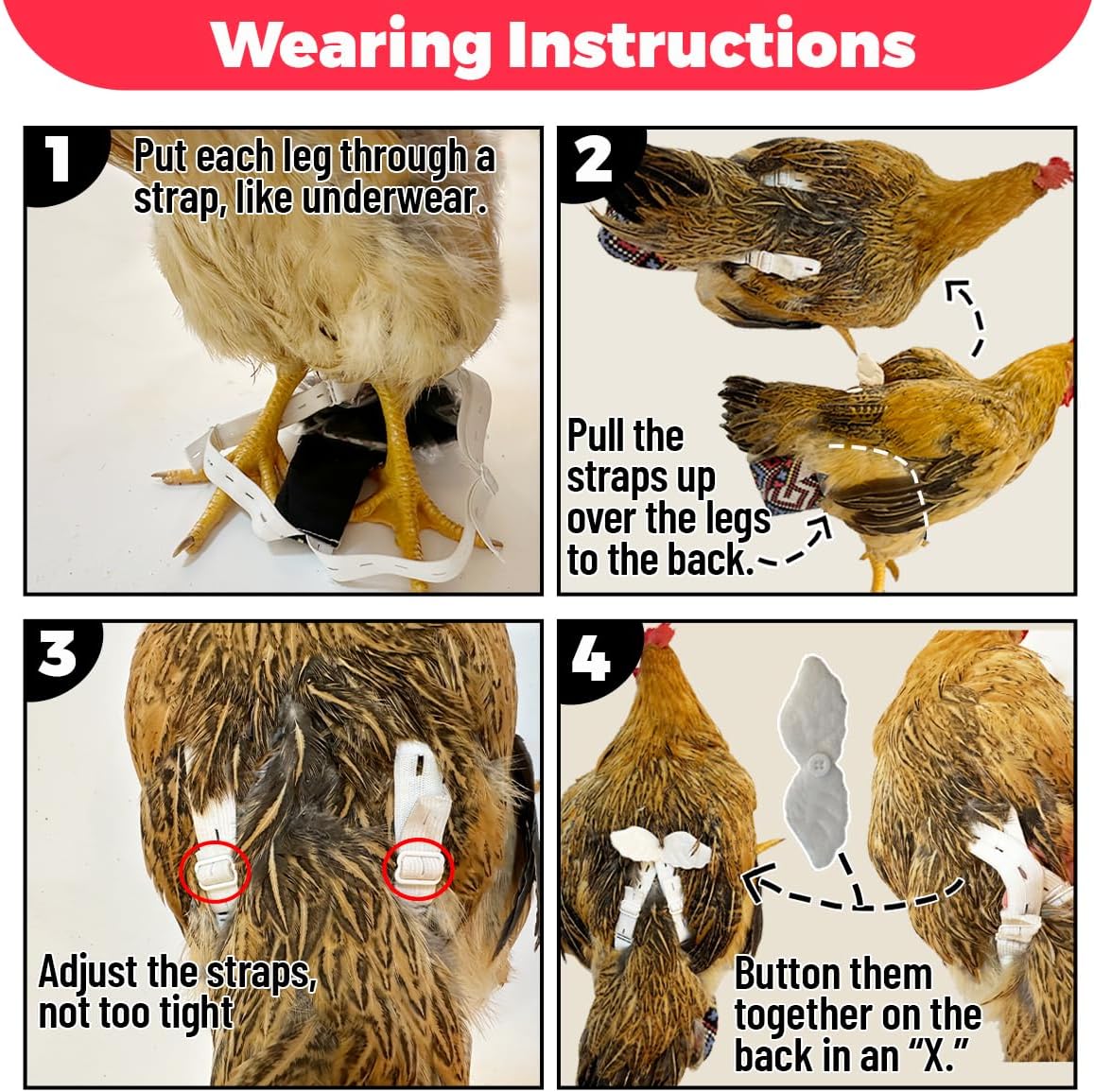 Revoloza poultry harness with disposable liner system