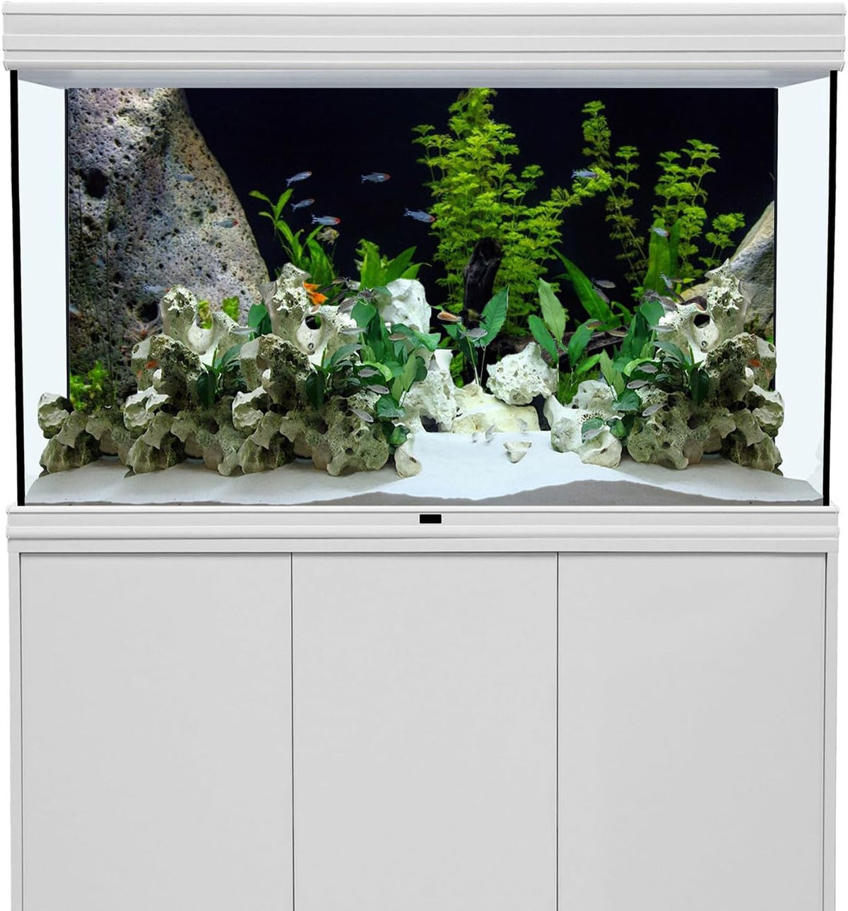 Awert aquatic plant fish tank background front view displaying river bed design.