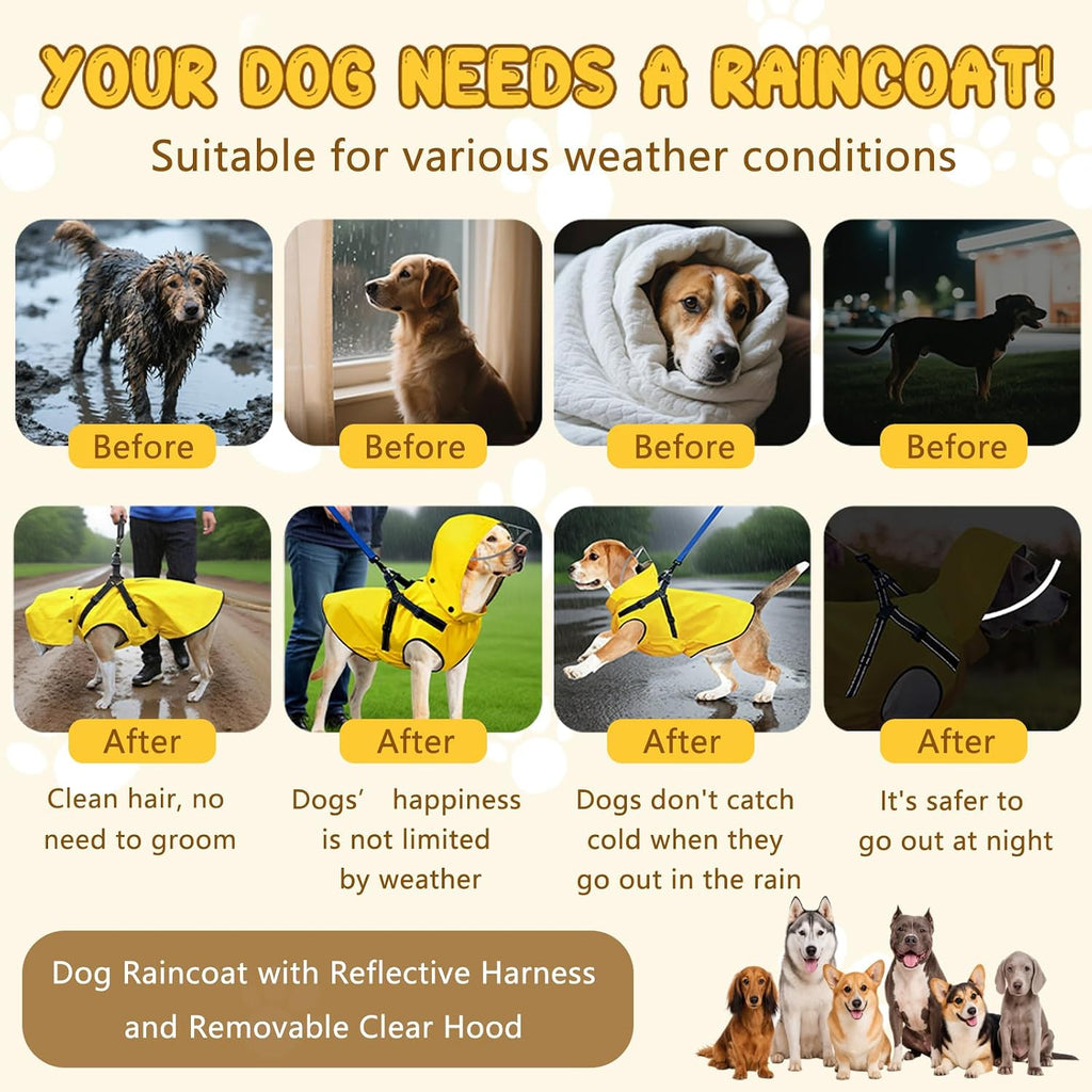 Bsemax dog clothing collection displaying the high visibility reflective trim illuminated in low light