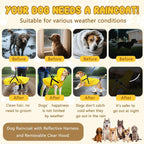 Bsemax dog clothing collection displaying the high visibility reflective trim illuminated in low light