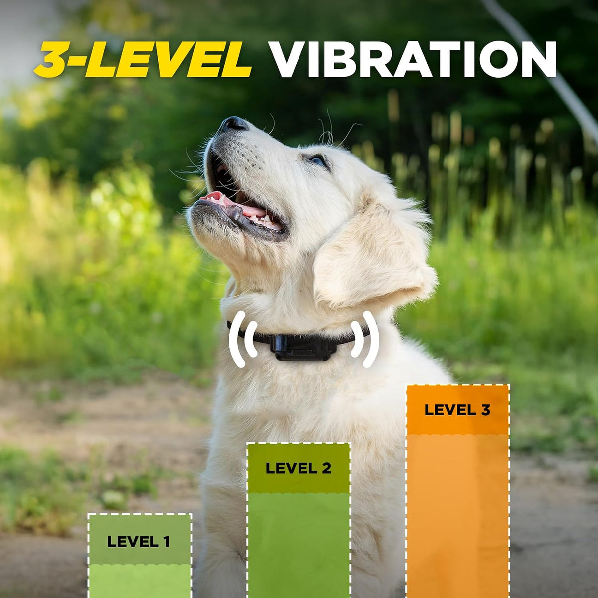 Dogtra iQ Vibe Vibration Only No Bark Collar: 4X Stronger HPP Vibration, IPX9K Waterproof, Precision Sensor, Rechargeable - Image 9