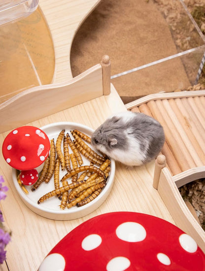 Premium protein snack for dwarf and Syrian hamsters by Niteangel
