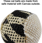 Kitten playing with colorful Ttcat canvas ball