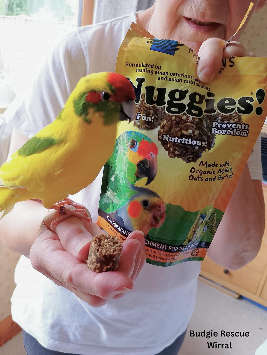 Harrison's Bird Foods Nuggies - Tasty Organic Baked Seed Clusters, 196g - Image 7