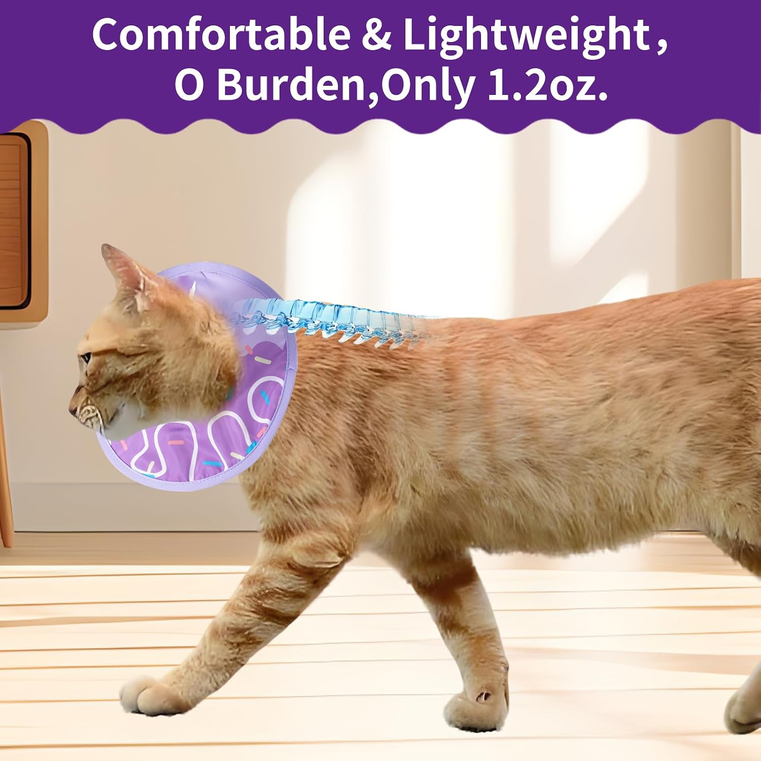 Soft donut shape pet cone collar on a kitten