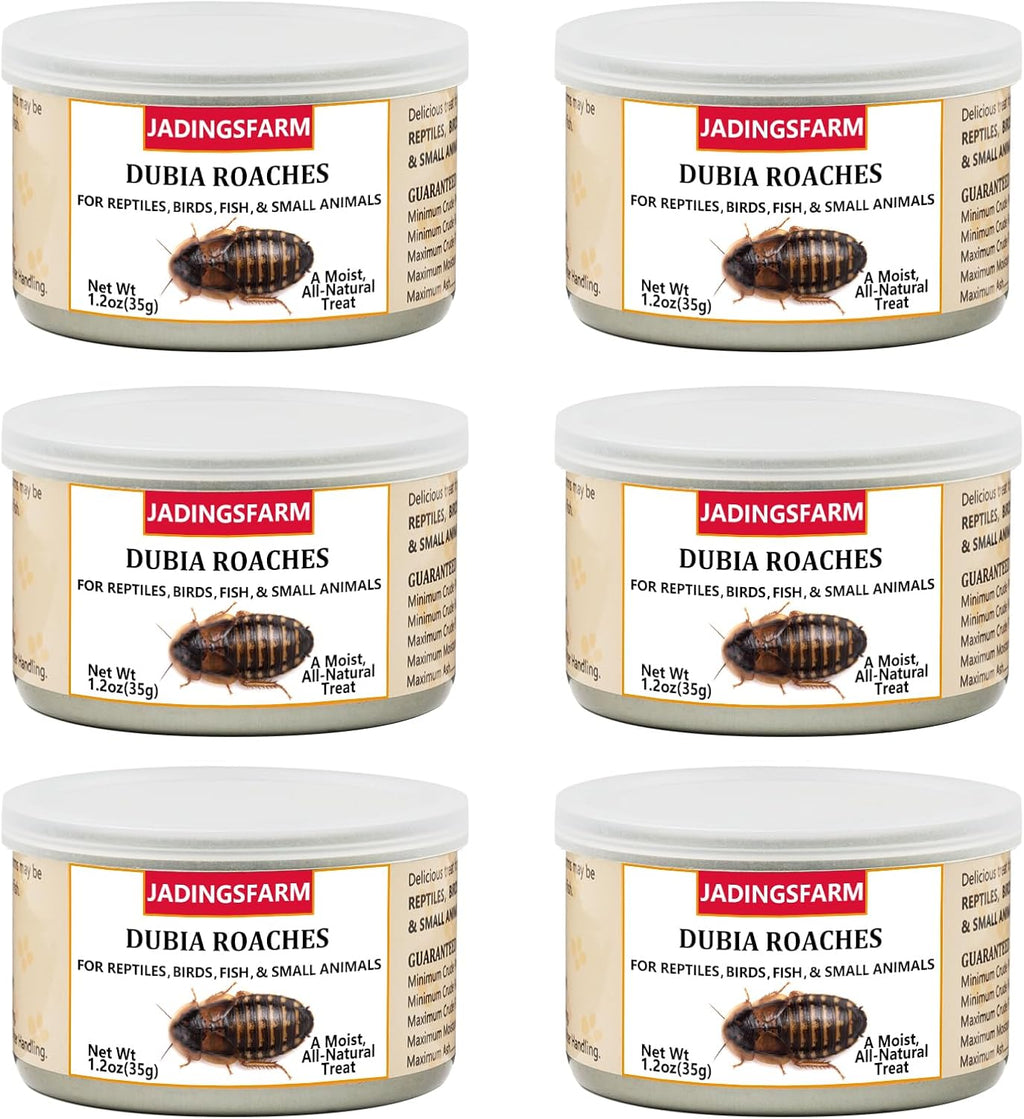 6 Pack Canned Crickets for Reptiles, Fish, Birds and Small Animals, Crickets, Healthy High Protein Treat, Reptile Bird Fish Food 7.2 Ounces Total - Image 14