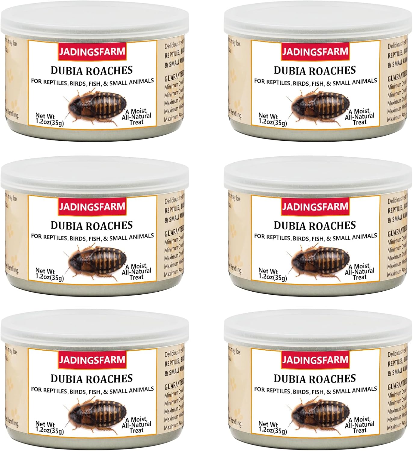 6 Pack Canned Crickets for Reptiles, Fish, Birds and Small Animals, Crickets, Healthy High Protein Treat, Reptile Bird Fish Food 7.2 Ounces Total - Image 14