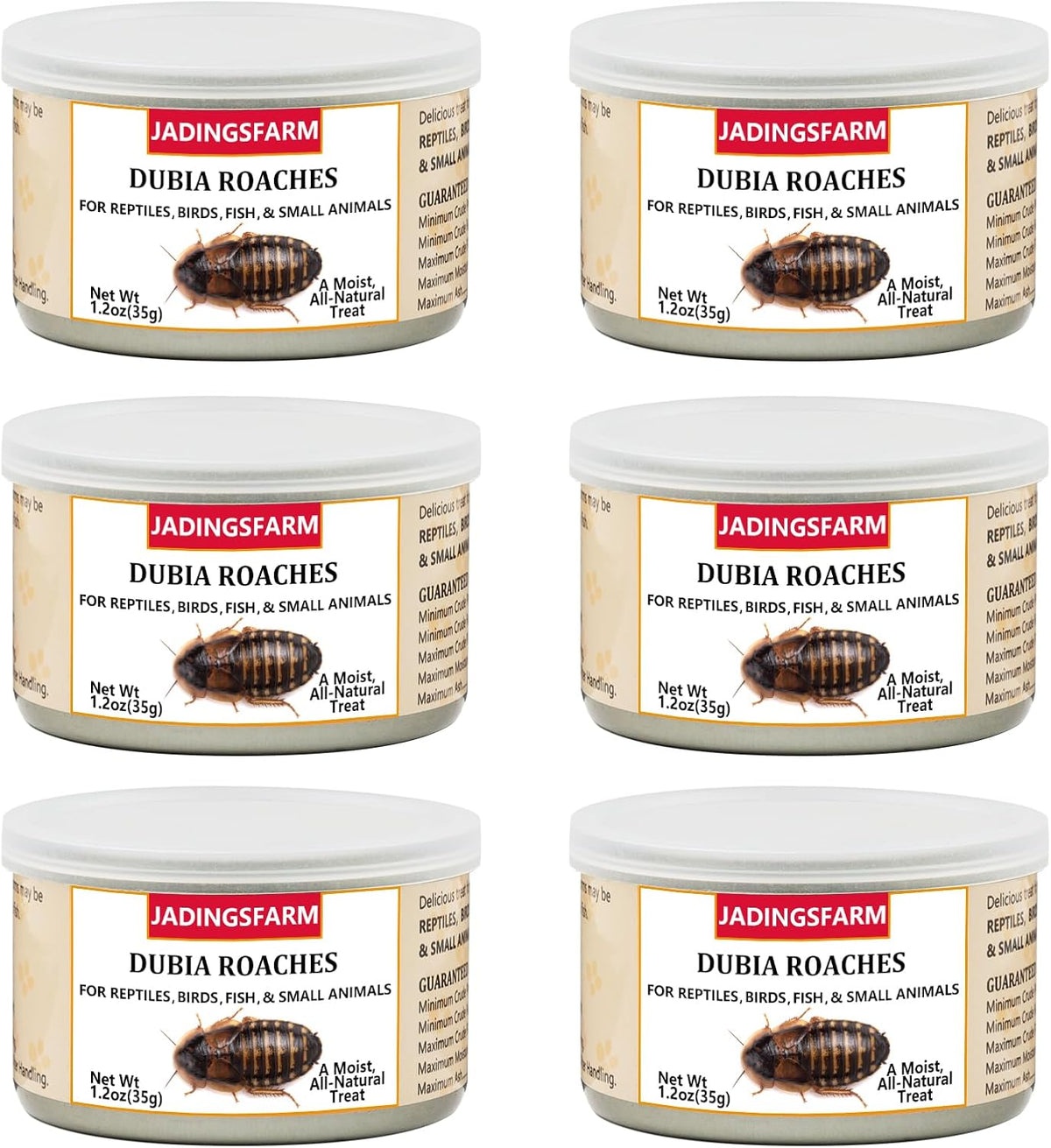 6 Pack Canned Crickets for Reptiles, Fish, Birds and Small Animals, Crickets, Healthy High Protein Treat, Reptile Bird Fish Food 7.2 Ounces Total - Image 14