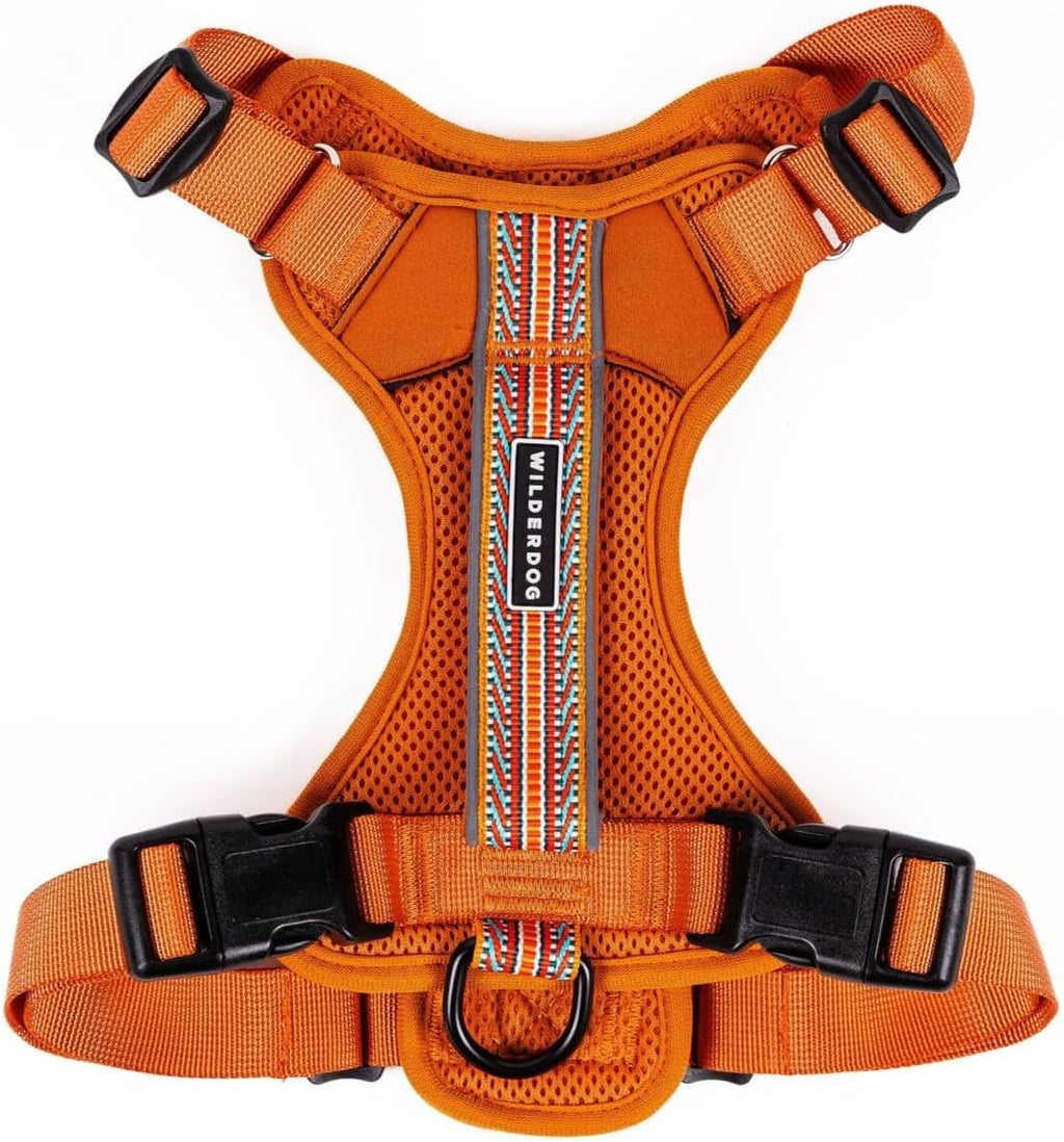Wilderdog lightweight harness packaging and branding
