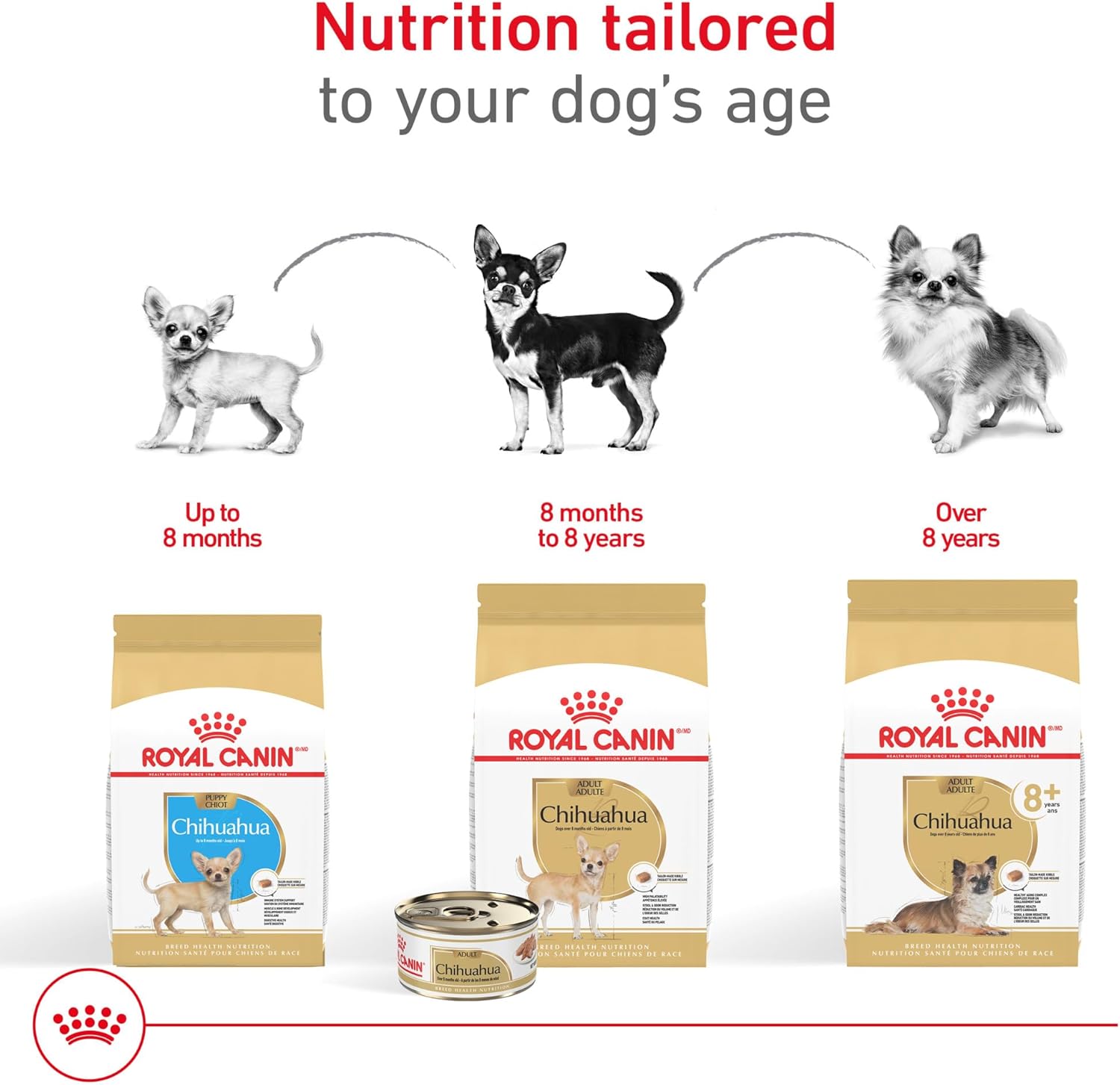 Six pack arrangement of Royal Canin premium wet dog food cans for toy breeds