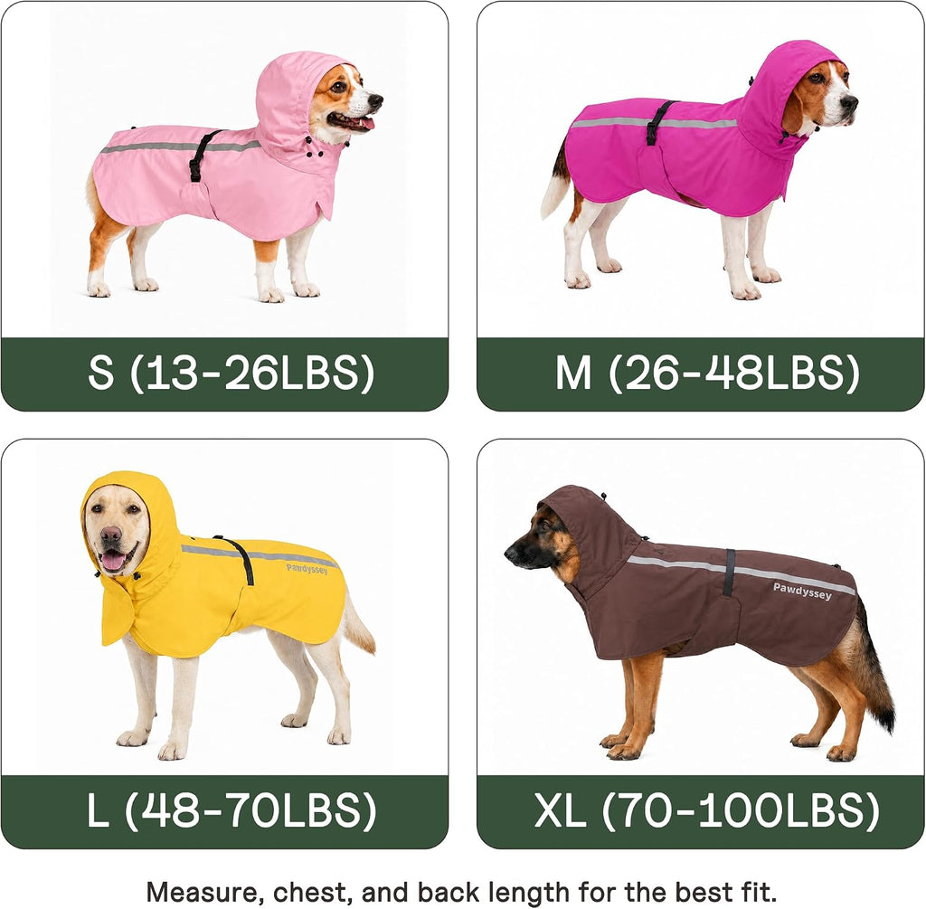 Adjustable pet rainwear hood structure showcased on a medium sized dog.