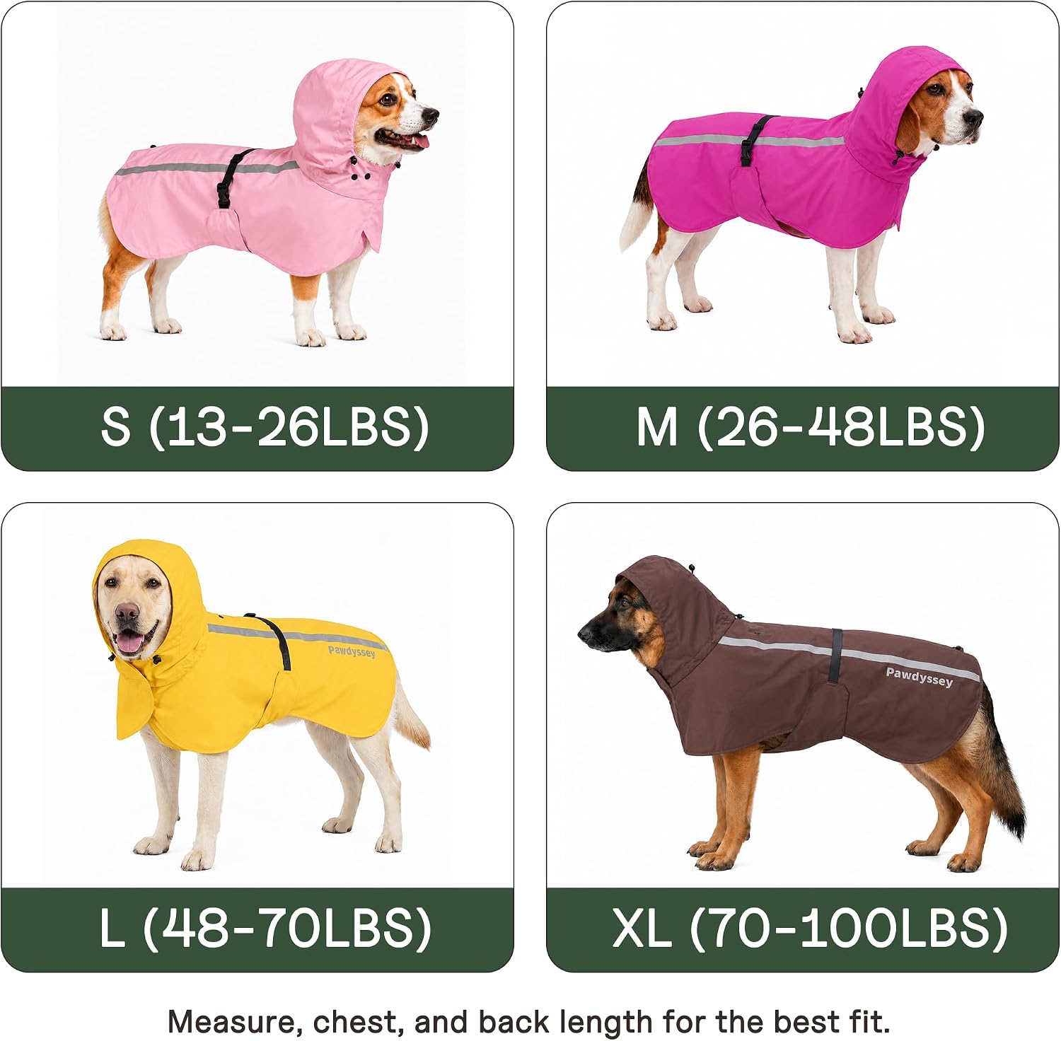 Adjustable pet rainwear hood structure showcased on a medium sized dog.