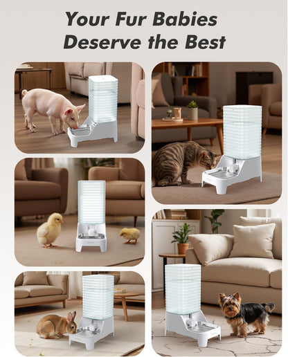 Automatic Dog Water Bowl Dispenser with Patented Faucet - 8L Large Gravity Cat Water Dispenser with Filter & Adjustable Base, Wide Mouth for Easy Clean, BPA-Free, Stainless Steel Pet Waterer for Pets - Image 9