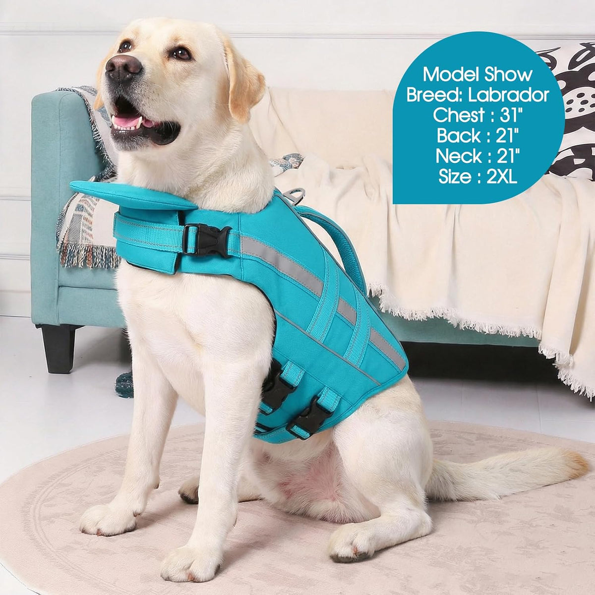 KAMA BRIDAL large breed dog life jacket being used on a boating trip