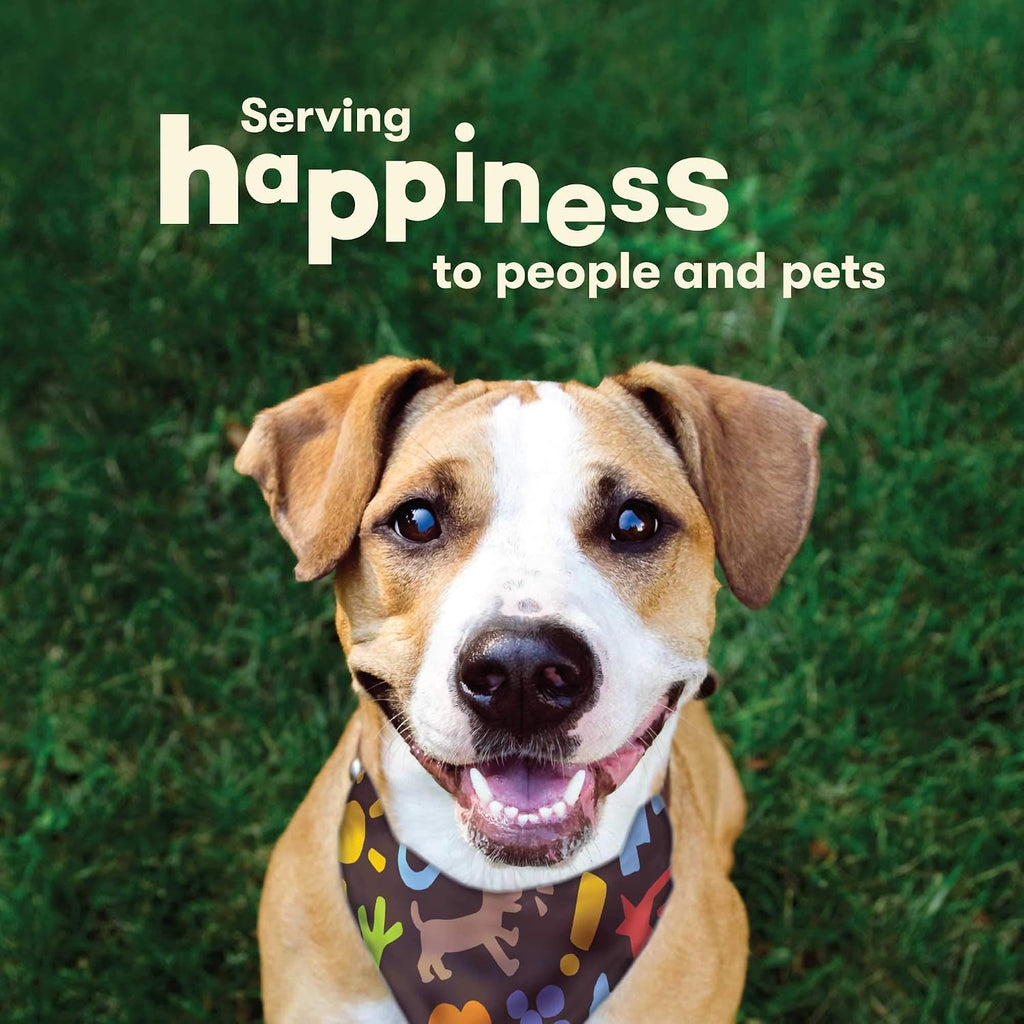 Authentic USA imported high protein duck dog chews for dental health