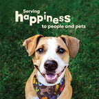 Authentic USA imported high protein duck dog chews for dental health