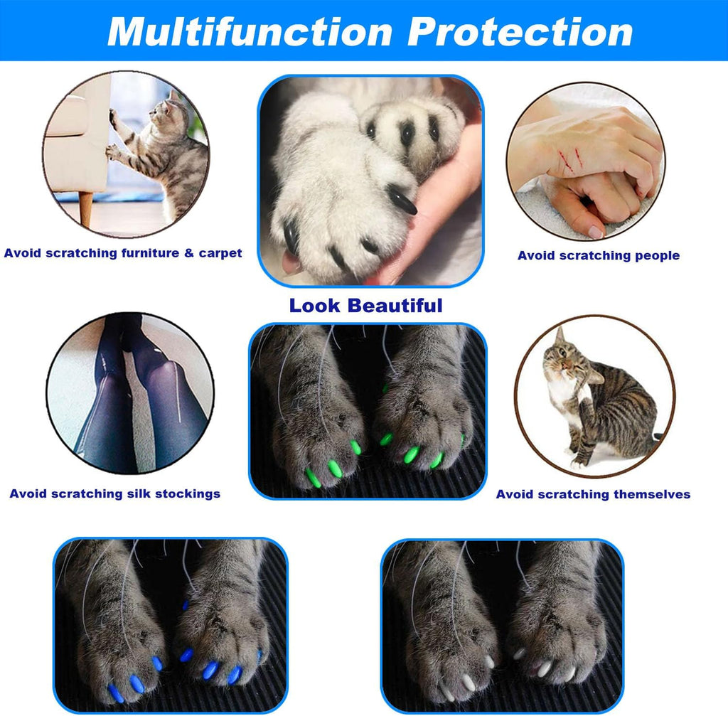 THE DDS STORE VICTHY pet grooming accessory application steps with applicator tip close up