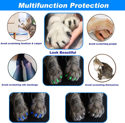 THE DDS STORE VICTHY pet grooming accessory application steps with applicator tip close up