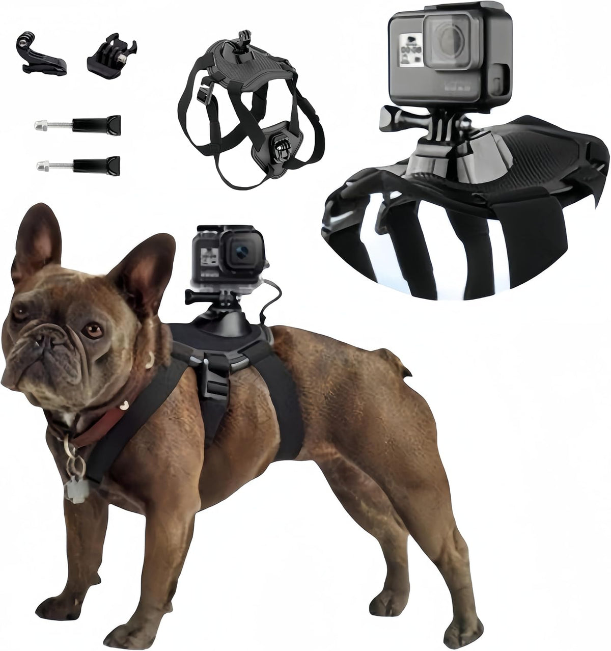 Wogerplu dog harness for GoPro front view with camera mount