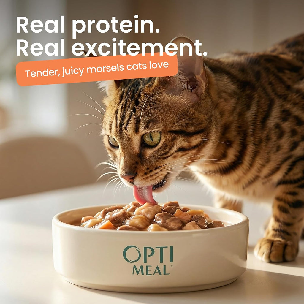 Non gmo grain free wet cat food pouches laid out clearly to show variety flavors