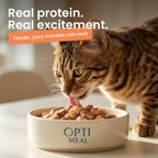 Non gmo grain free wet cat food pouches laid out clearly to show variety flavors