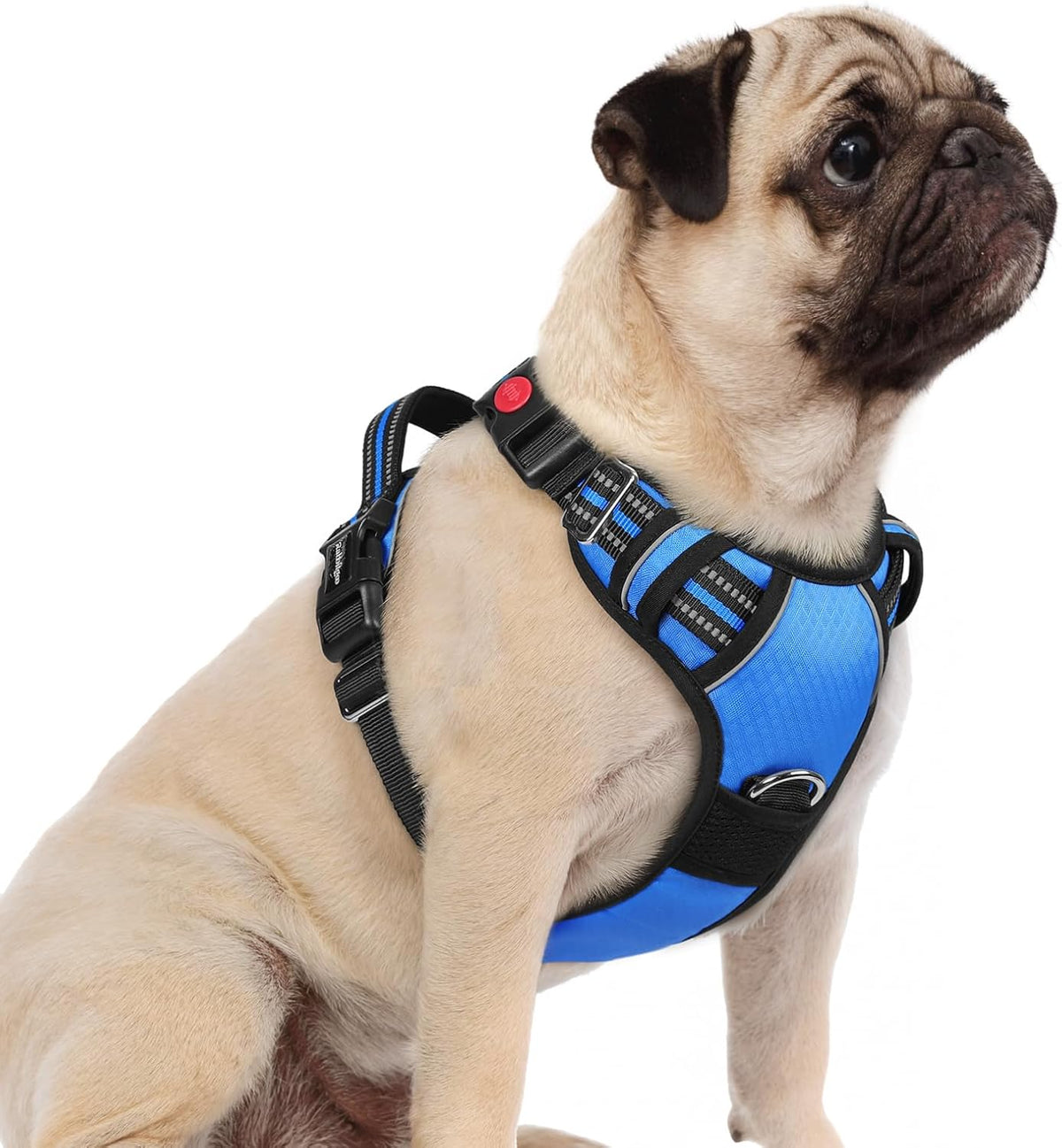 rabbitgoo Dog Harness for Large Dogs, 3 Buckles Easy On & Off No Pull Pet Vest, Soft Padded Walking Pet Harness with Control Handle, Adjustable and Reflective, Pink, L - Image 11