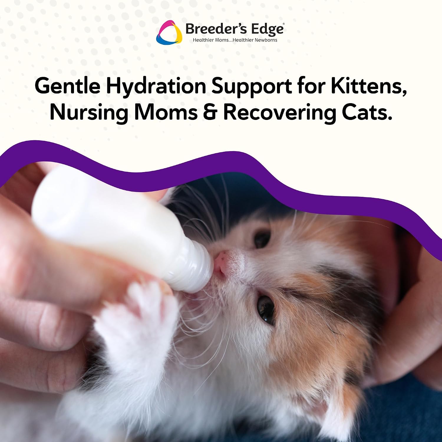 Breeder's Edge Kitten Lyte for nursing cats