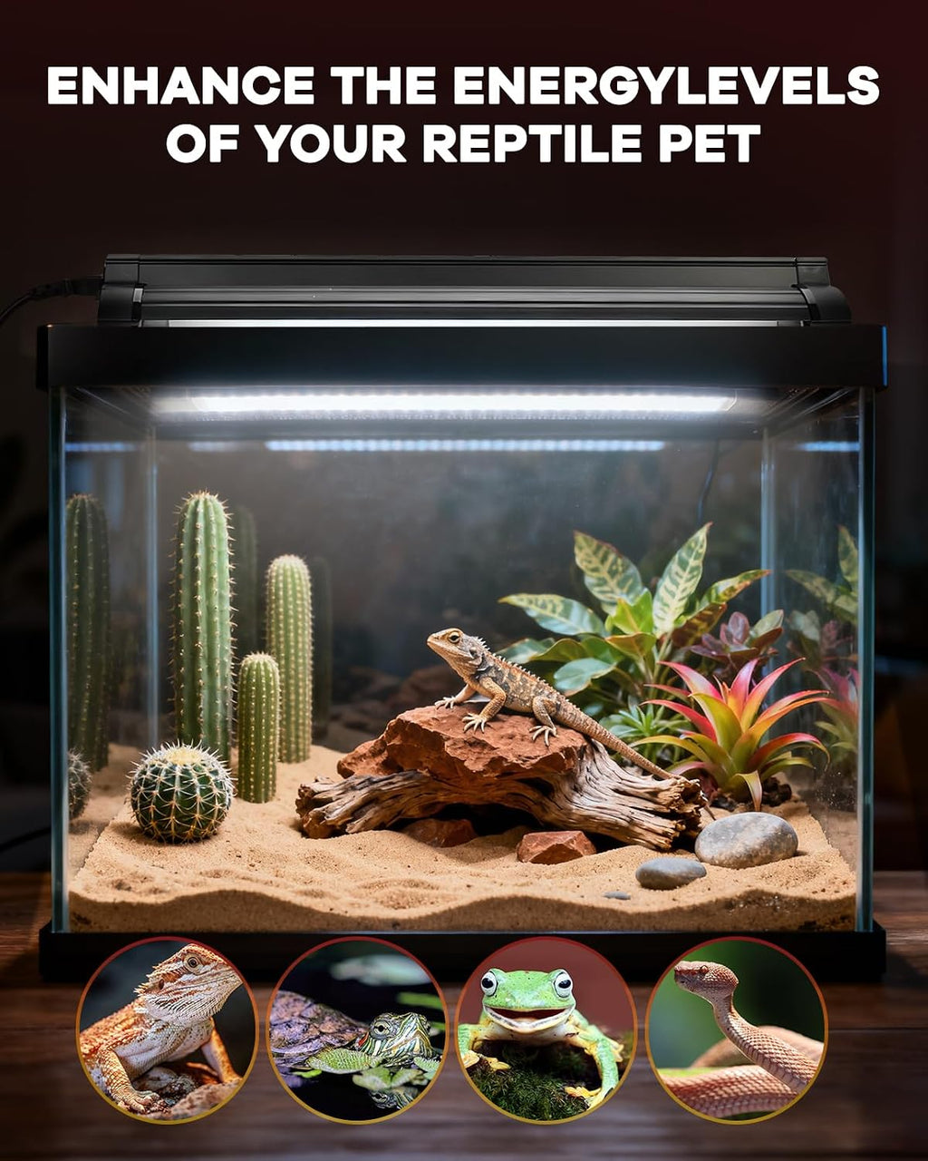 Overhead angle of the eight watt reptile terrarium hood setup.
