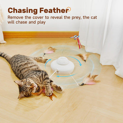 Indoor cat engaging with the automatic rotating butterfly on the Potaroma interactive wand.