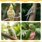 Demonstration of the lightweight polyester fabric used in bird clothes.