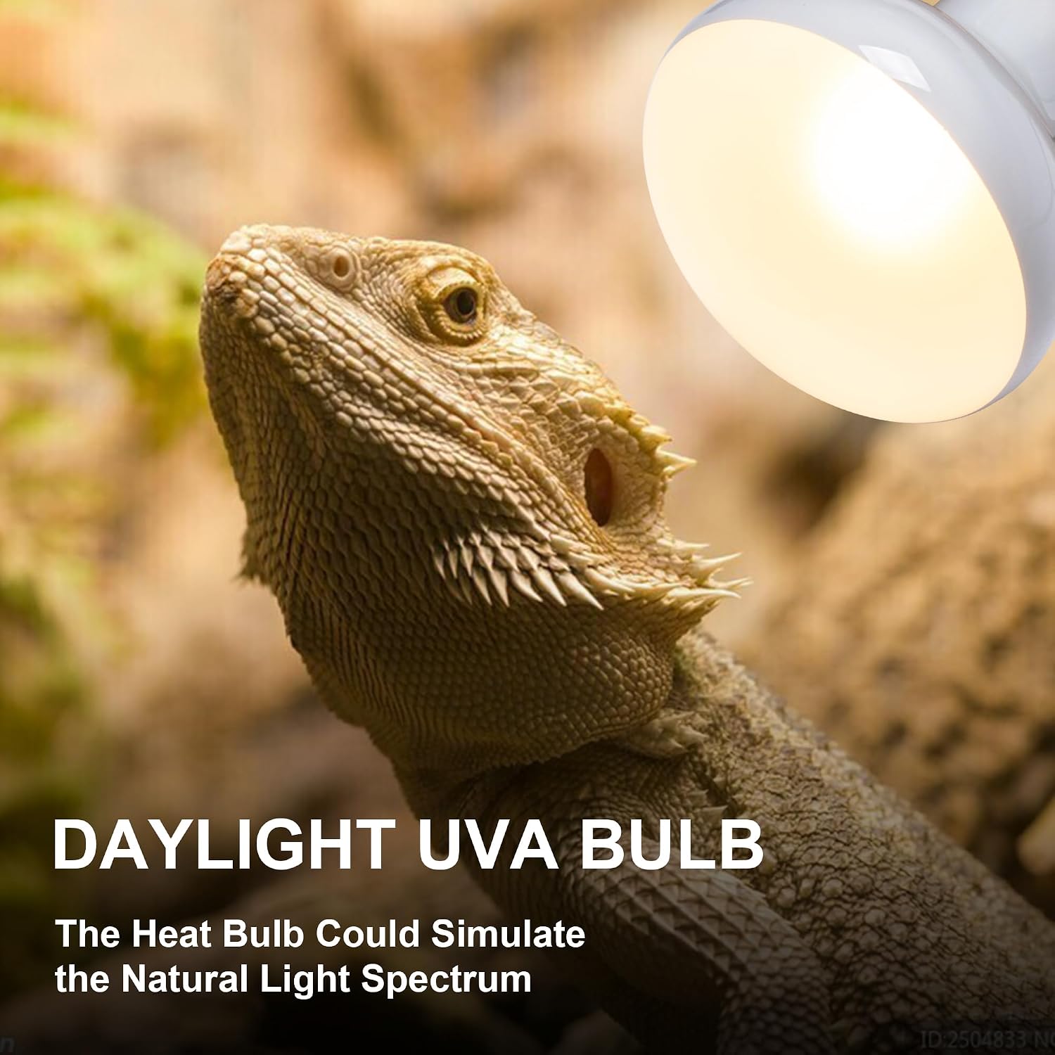 Jugbuy one hundred watt daytime UVA basking spot light bulb illustrating the clear glass and durable internal heating filament.