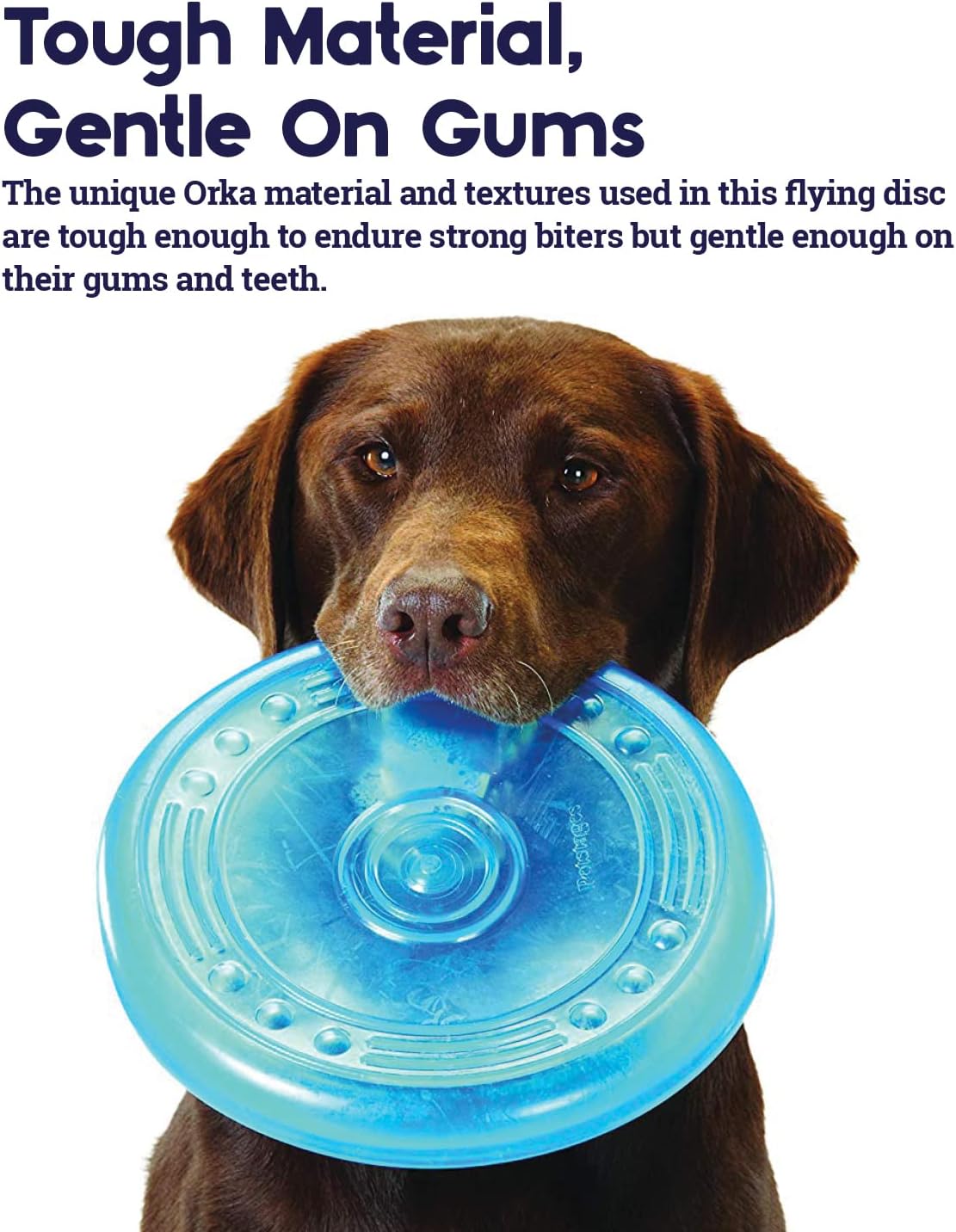 Petstages Orka Flyer blue disc held in hand for scale