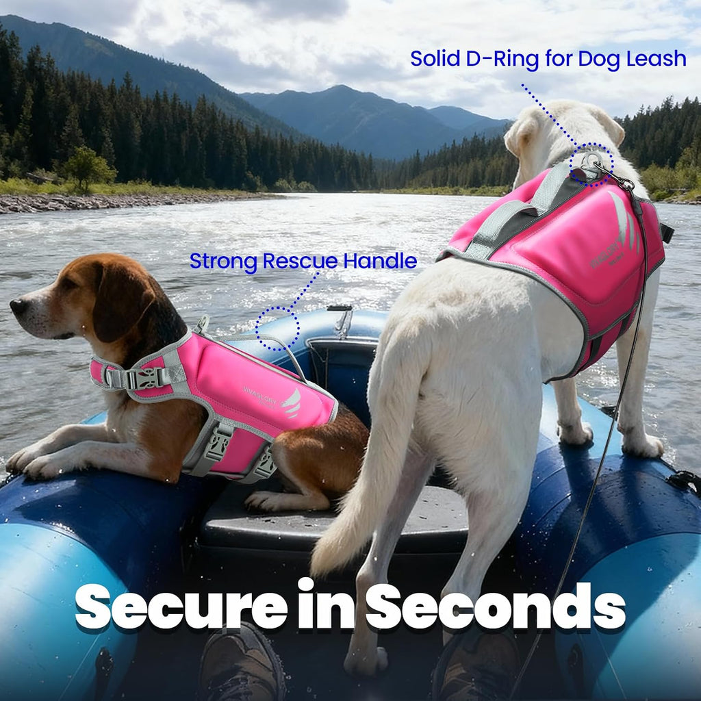 Top view highlighting the heavy duty dual rescue handles and metal leash D ring.