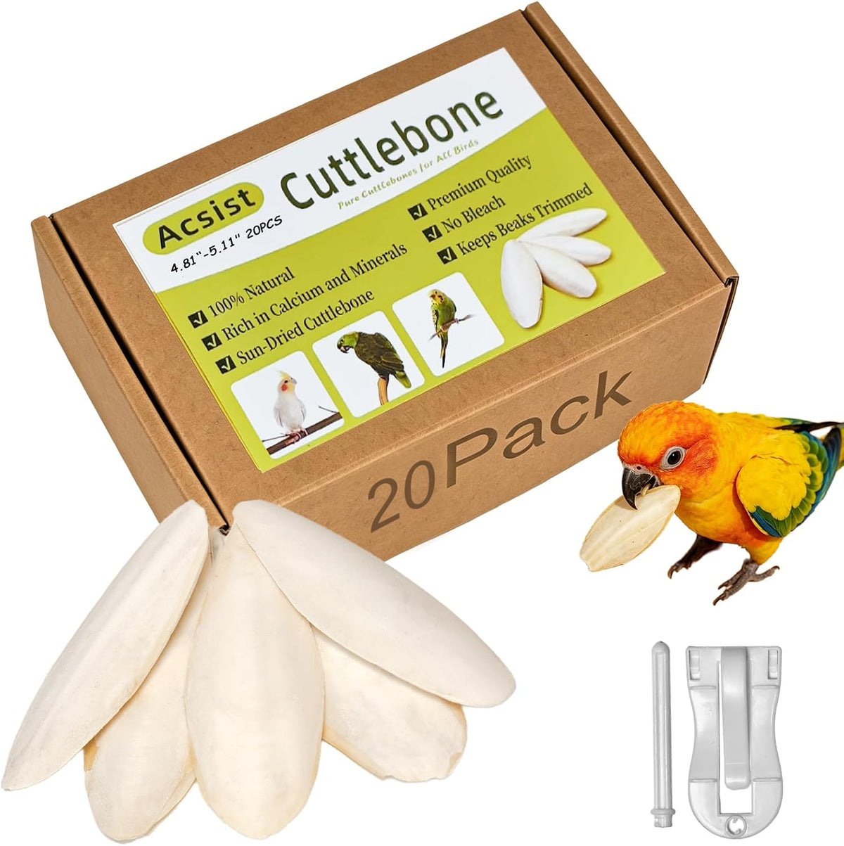 4.3"-4.7" Cuttlebone for Birds,Natural Cuttlefish Bone for Parakeets,12 Pcs - Image 9