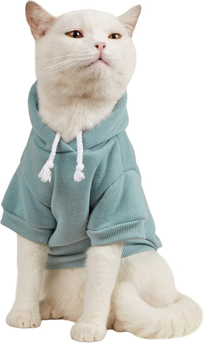 QWINEE basic dog hoodie front view in cadet blue color