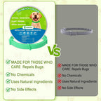 Two-pack Monipgu pet health collar packaging display