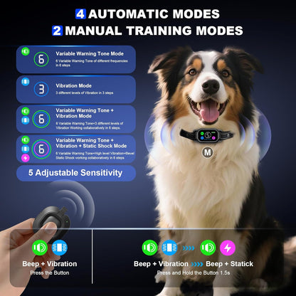 Staalguard dog training collar with handheld remote