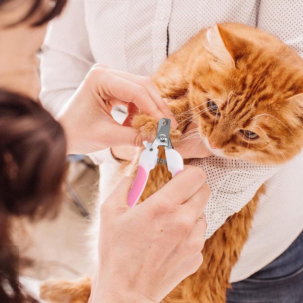 Close up view of the protective cat nail caps and grooming accessories