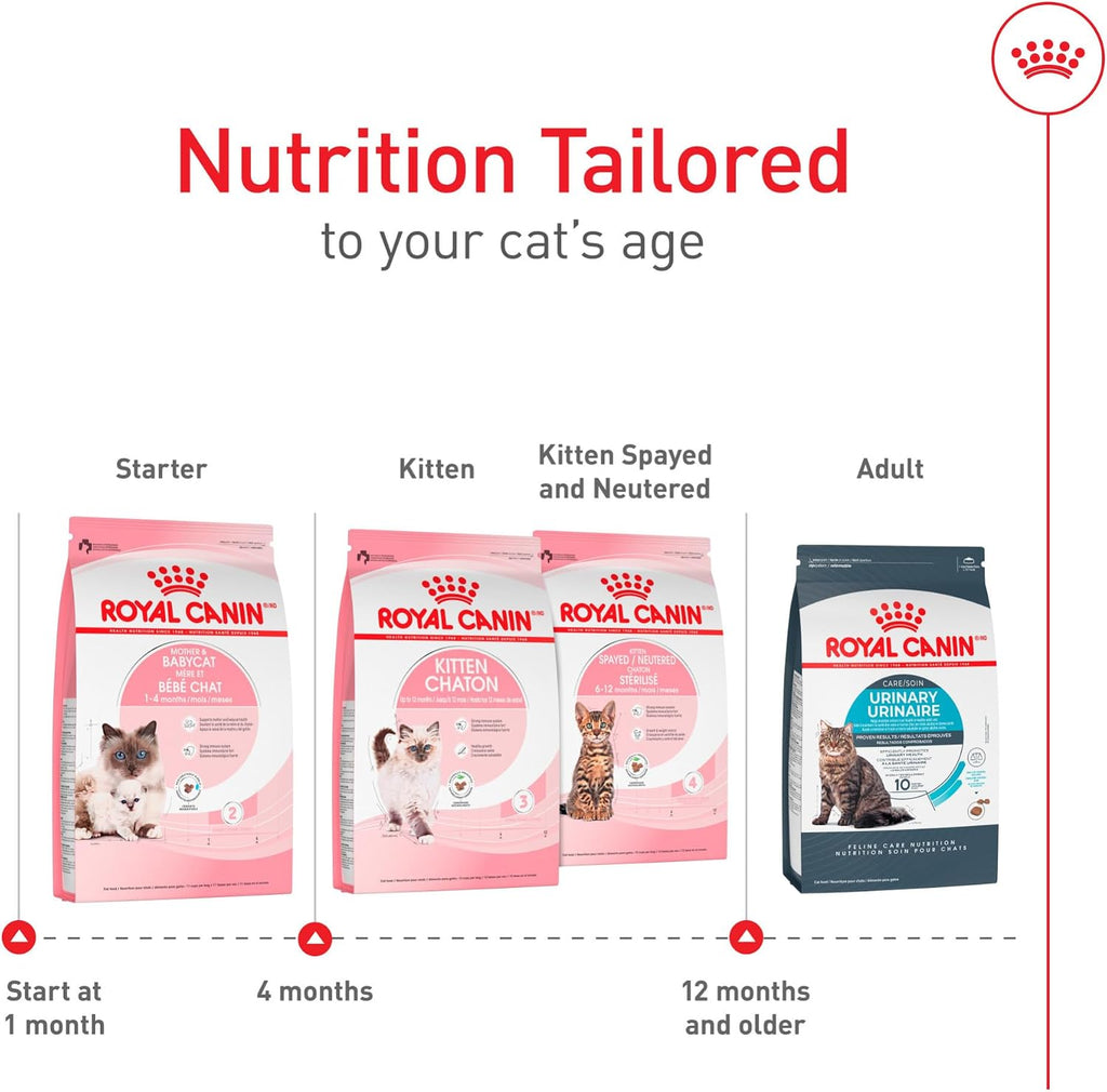 Authentic USA imported Royal Canin Mother and Babycat 3 lb bag for Indian pet parents.