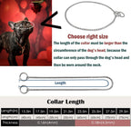 Ximipet anti rust silver plated metal training collar close up details
