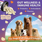 Close-up of the chicken-flavored freeze-dried probiotic treats for dogs and cats.
