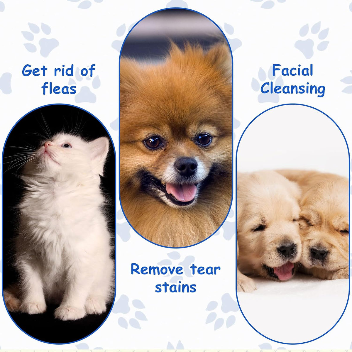 Gentle facial tear stain and eye gunk cleaning comb being used around a puppy's eyes.