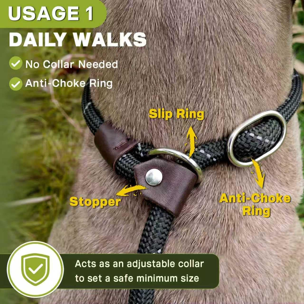 Fida professional dog training lead illuminating under low light to show reflective straps.