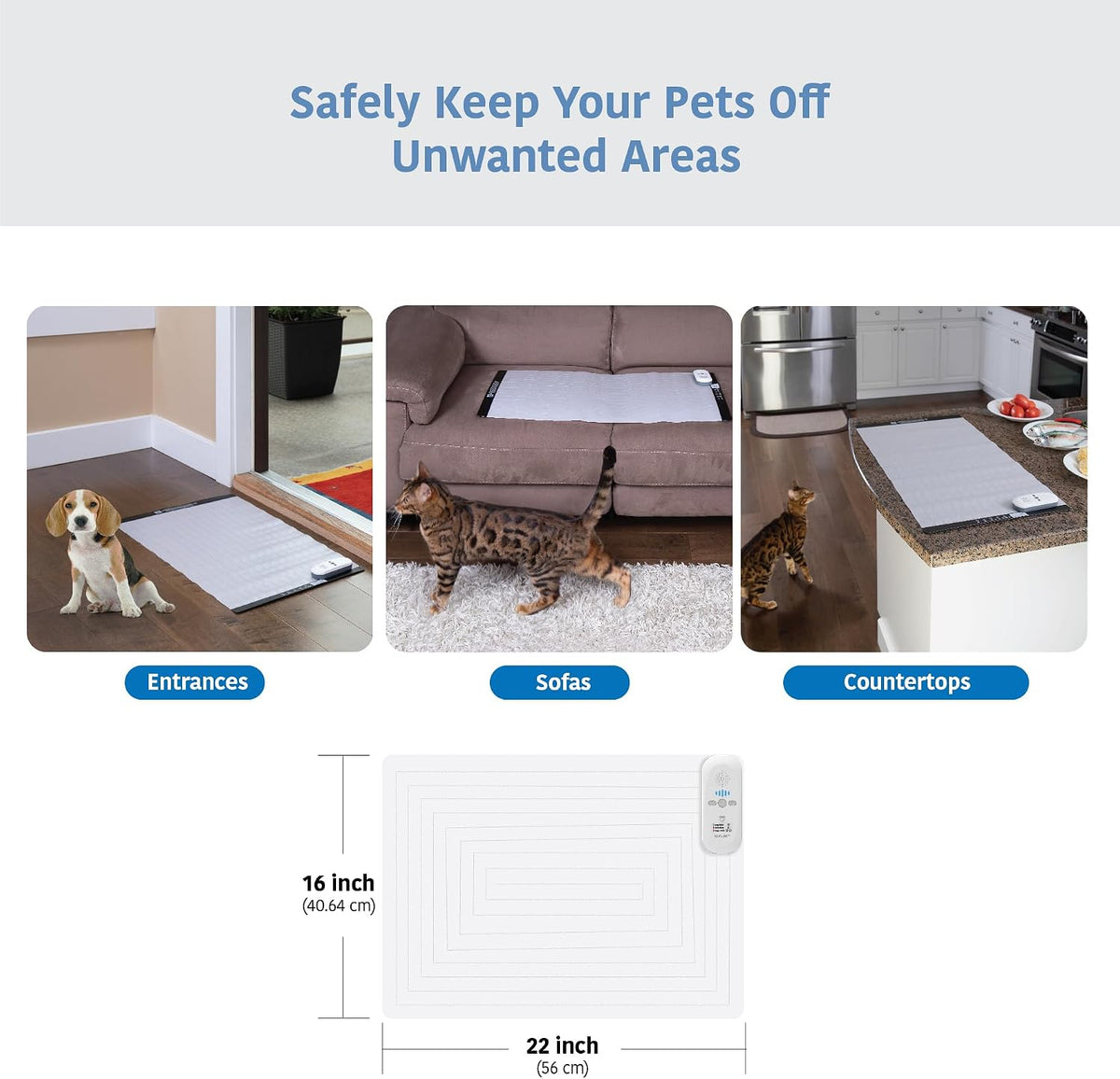 SVD.PET training mat usage demonstration for dogs and cats