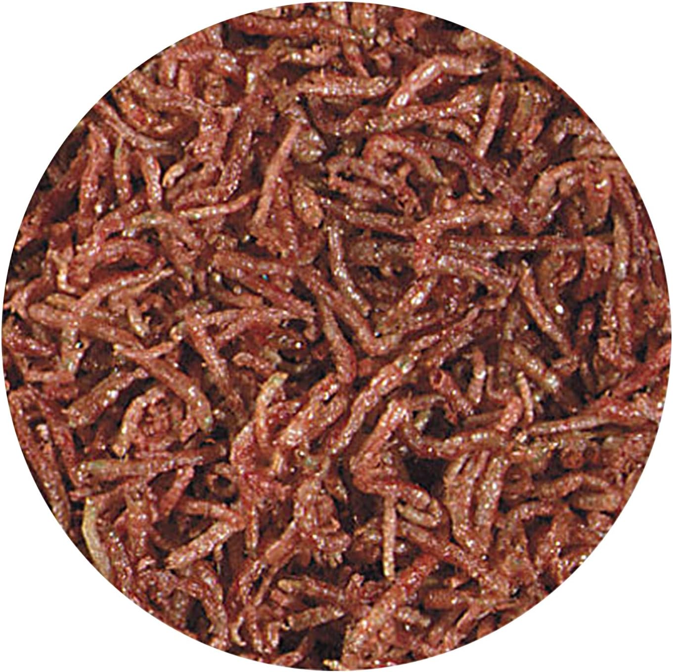 Close up of Hikari natural blood worms texture
