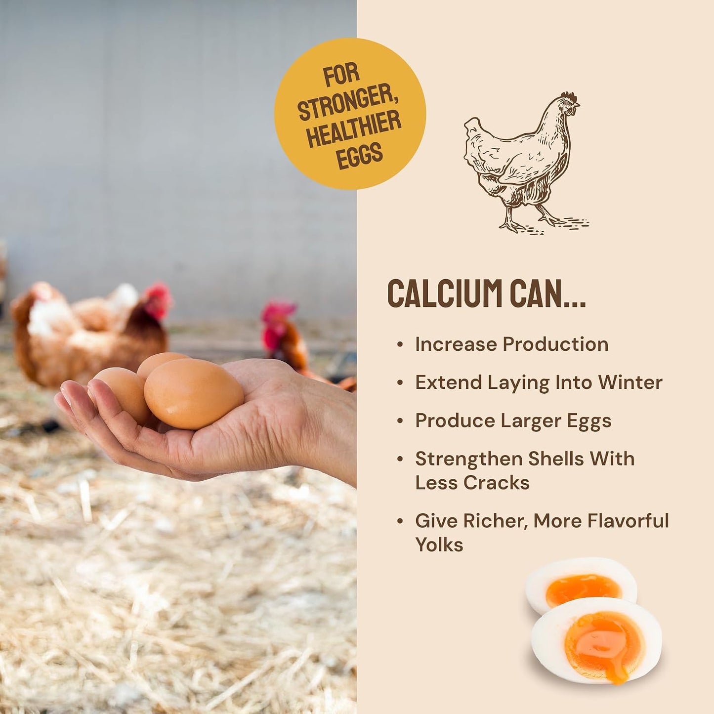 Texture of Hatortempt poultry feed with mealworms and grit