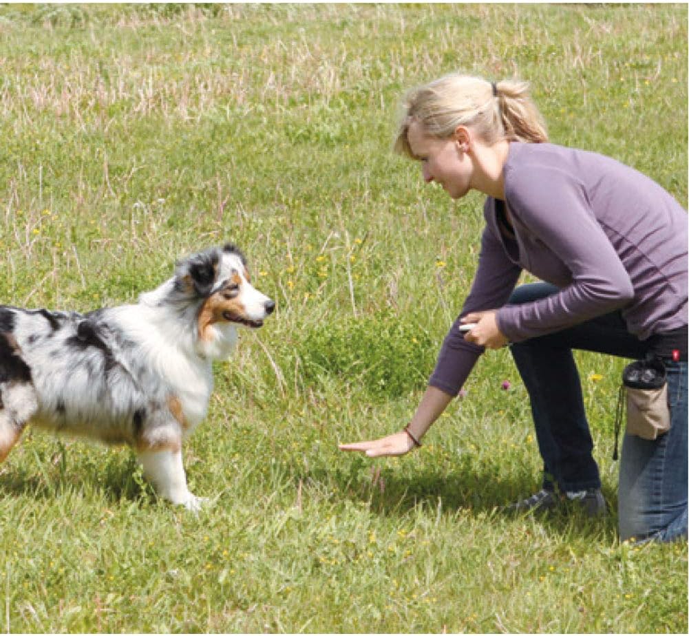 VOBRAMY lightweight pet training clicker showing its compact portable dimensions.