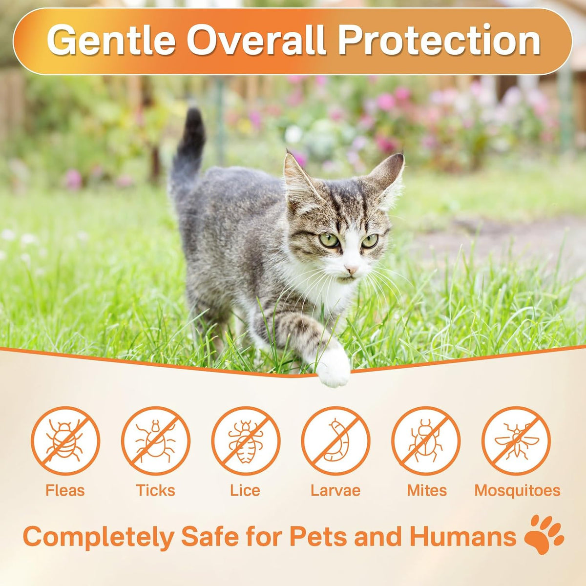 Back label of Puyrzoe cat flea treatment soft chews displaying the natural ingredients and vitamin profile.
