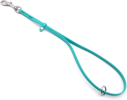 Groomerspro Jelly Pet Grooming Loop 3/8 inch by 18 inch teal front view