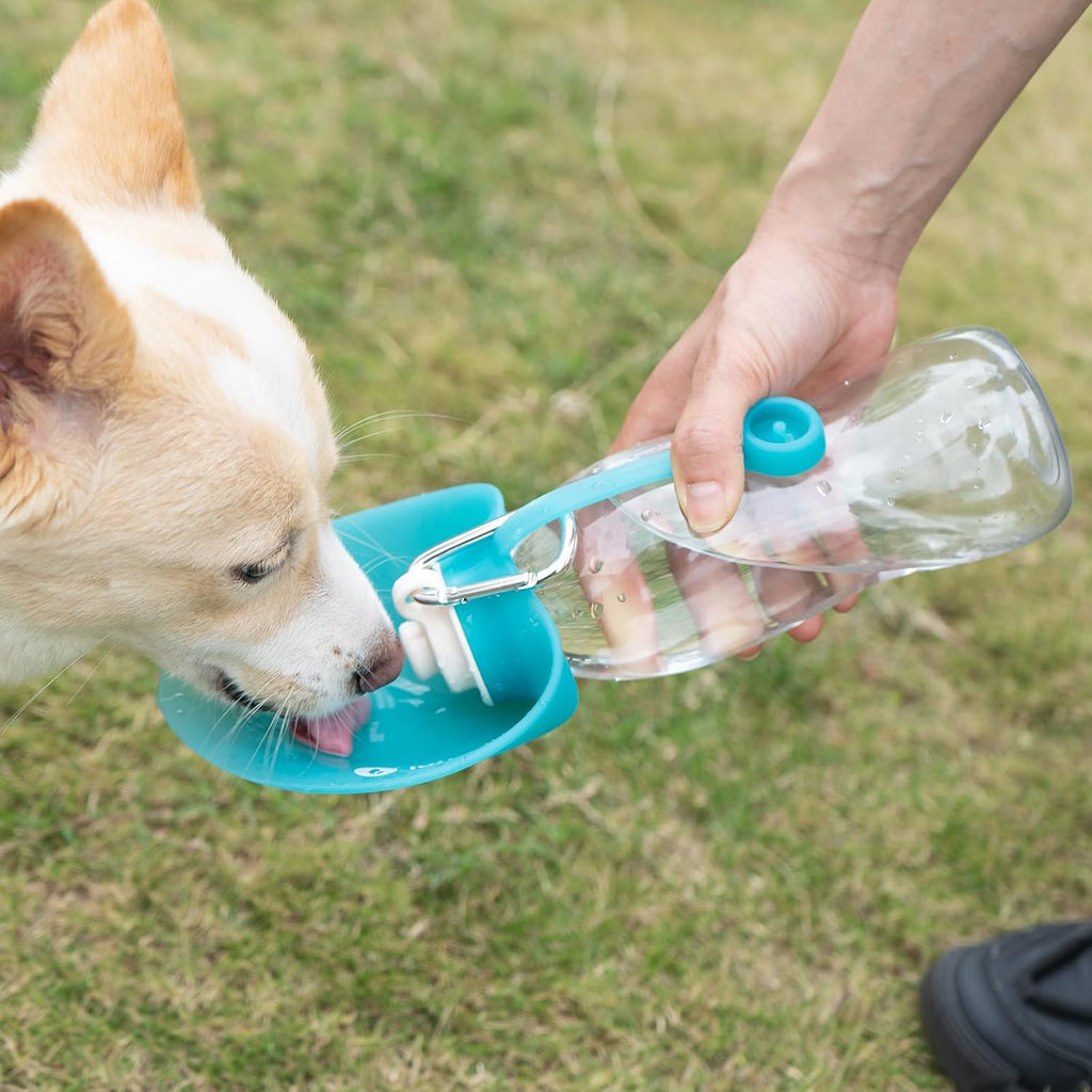 LumoLeaf portable pet water dispenser folded for compact travel storage